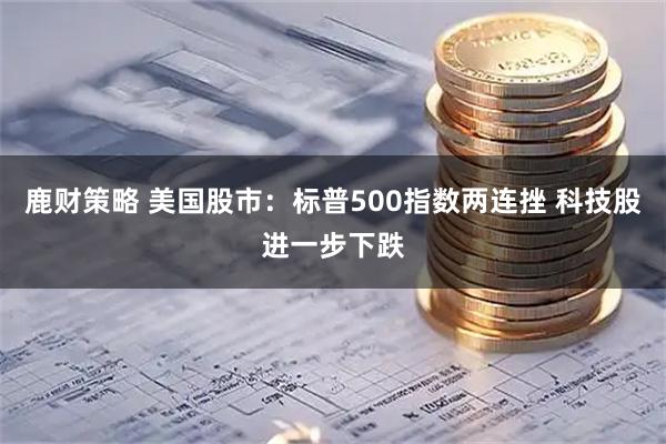 鹿财策略 美国股市：标普500指数两连挫 科技股进一步下跌