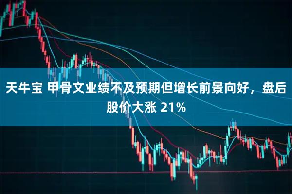 天牛宝 甲骨文业绩不及预期但增长前景向好，盘后股价大涨 21%
