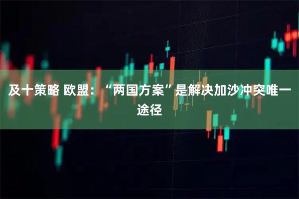 及十策略 欧盟：“两国方案”是解决加沙冲突唯一途径