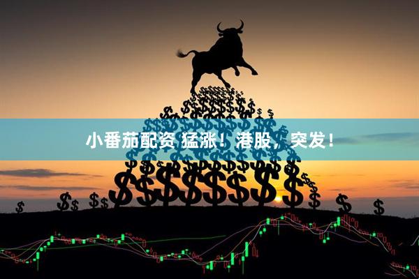 小番茄配资 猛涨！港股，突发！