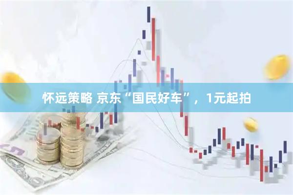 怀远策略 京东“国民好车”，1元起拍