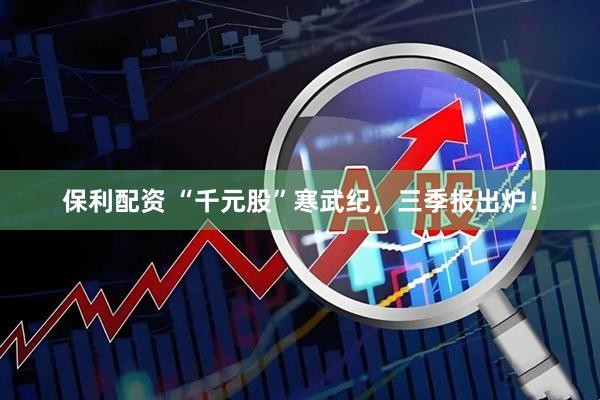 保利配资 “千元股”寒武纪，三季报出炉！